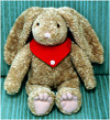 Hase,Schlappohr02