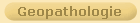 Geopathologie