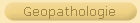 Geopathologie